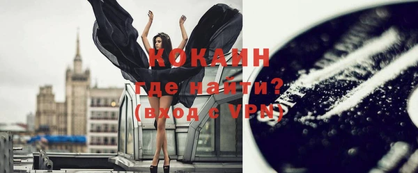 индика Ладушкин