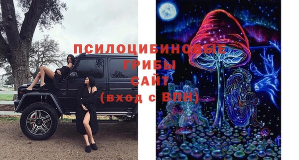 мдпв Иноземцево