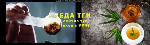 индика Ладушкин