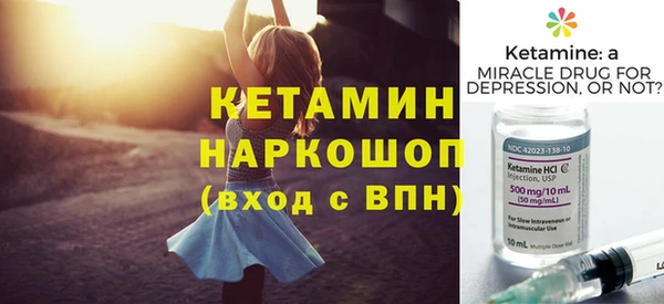 индика Ладушкин