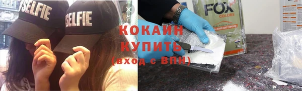 индика Ладушкин