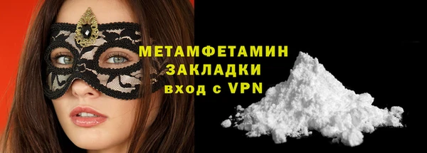 индика Ладушкин