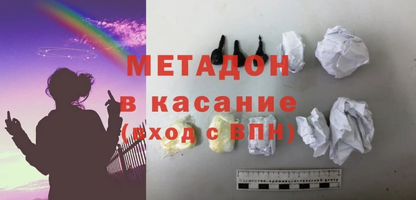 индика Ладушкин
