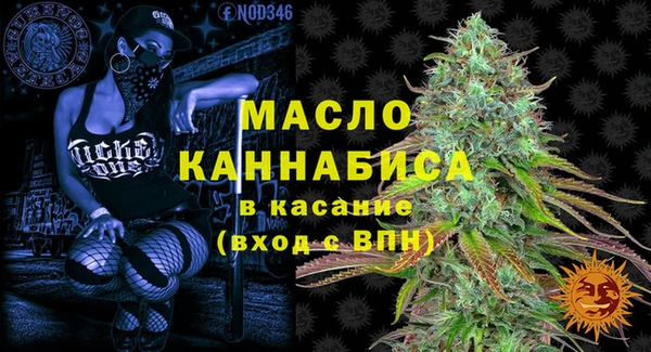 спиды Лагань