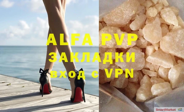 индика Ладушкин