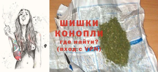 индика Ладушкин