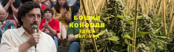 индика Ладушкин