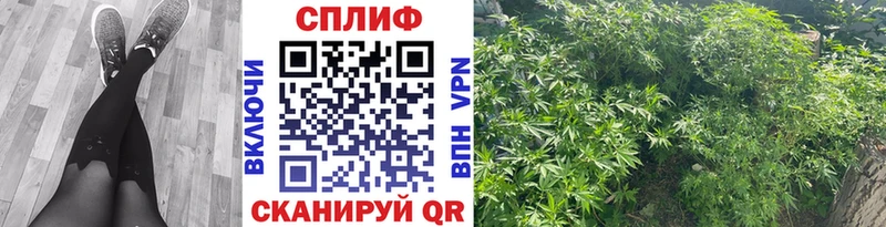 Конопля Amnesia  Цимлянск 